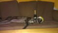 /album/fotogaleria/imag0296-jpg/